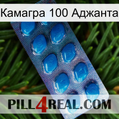 Камагра 100 Аджанта viagra1